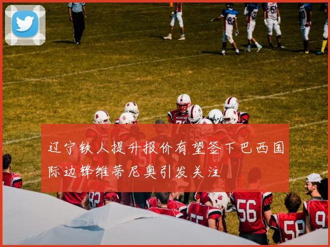 辽宁铁人提升报价有望签下巴西国际边锋维蒂尼奥引发关注