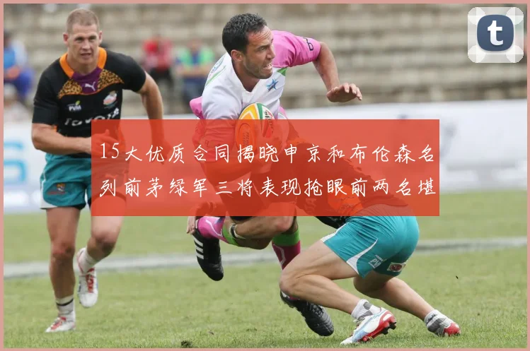 15大优质合同揭晓申京和布伦森名列前茅绿军三将表现抢眼前两名堪称传奇